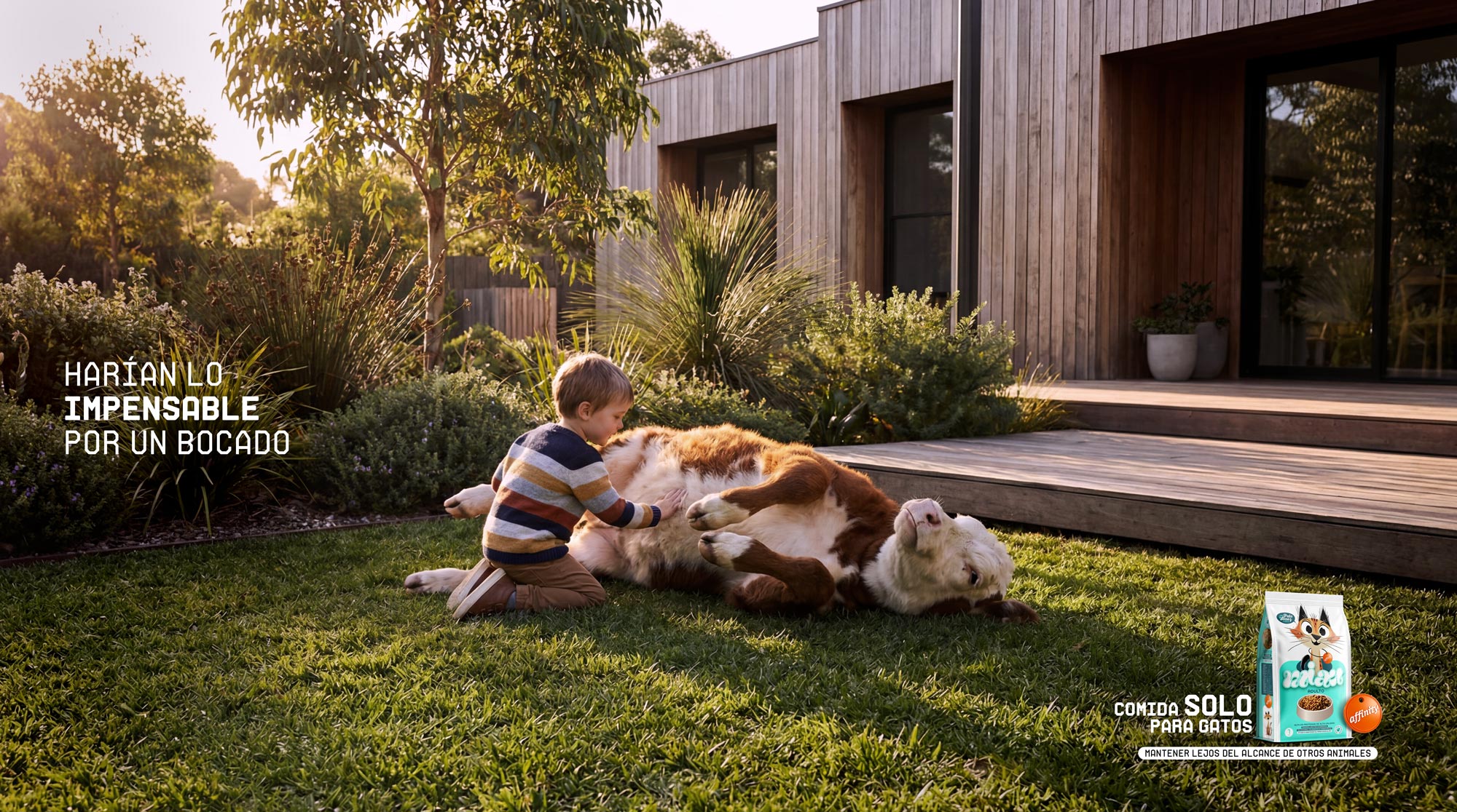 Campaña-Affinity-1